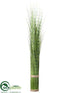 Silk Plants Direct Onion Grass - Variegated - Pack of 4