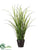 Silk Plants Direct Outdoor Grass - Green - Pack of 4