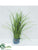 Grass - Green Lavender - Pack of 12