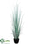 Silk Plants Direct Reed Grass - Green Frosted - Pack of 2
