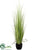 Silk Plants Direct Reed Grass - Green Light - Pack of 2