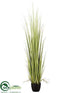Silk Plants Direct Reed Grass - Green Light - Pack of 1