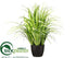 Silk Plants Direct Reed Grass - Green Light - Pack of 1