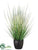 Silk Plants Direct Grass, Horsetail Bush - Green - Pack of 2