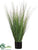 Onion Grass - Green - Pack of 2