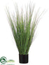 Silk Plants Direct Onion Grass - Green - Pack of 2