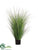 Onion Grass - Green - Pack of 2