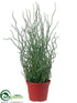 Silk Plants Direct Curly Grass - Green - Pack of 12