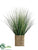 Grass - Green Two Tone - Pack of 6