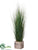 Silk Plants Direct Grass - Green - Pack of 2