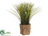 Silk Plants Direct Grass, Lavender - Cream Green - Pack of 6