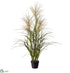 Silk Plants Direct Pampas Grass Plant - Beige Green - Pack of 2