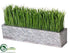 Silk Plants Direct Grass - Green - Pack of 1