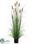 Cattail Plant - Brown Green - Pack of 4