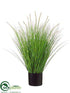 Silk Plants Direct Dog Tail Onion Grass - Green Cream - Pack of 4