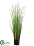 Silk Plants Direct Dog Tail Grass - Green Brown - Pack of 6