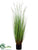 Dog Tail Grass - Green Brown - Pack of 4