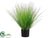 Grass - Green - Pack of 4