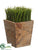 Grass - Green - Pack of 2