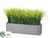 Grass - Green - Pack of 2