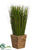 Grass - Green - Pack of 12