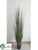 Reed Grass - Green - Pack of 1