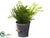 Silk Plants Direct Herb Garden - Green - Pack of 4