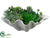 Succulent - Green - Pack of 2
