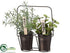 Silk Plants Direct Rosemary, Mint - Green - Pack of 4