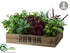 Silk Plants Direct Herb Garden - Green Burgundy - Pack of 1