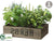 Herb Garden - Green - Pack of 2