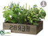 Silk Plants Direct Herb Garden - Green - Pack of 2