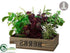 Silk Plants Direct Basil, Rosemary, Mint, Lavender - Green Burgundy - Pack of 1