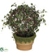 Silk Plants Direct Angel Vine Ball Topiary - Green Two Tone - Pack of 4