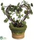 Silk Plants Direct Angel Vine Heart Topiary Wreath - Green Two Tone - Pack of 6