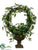 Ivy Wreath Topiary - Green - Pack of 2