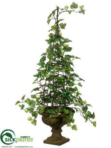 pothos topiary Ivy Cone Topiary - Green - Pack of 2 - (CRG-631IQLS)