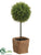 Tea Leaf Ball Topiary - Green - Pack of 4
