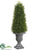 Tea Leaf Cone Topiary - Green - Pack of 4