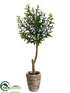 Silk Plants Direct Myrtle Topiary - Green - Pack of 6
