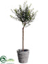 Silk Plants Direct Myrtle Topiary - Green - Pack of 2