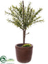 Silk Plants Direct Myrtle Ball Topiary - Green - Pack of 4