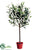 Olive Topiary Tree - Green - Pack of 6