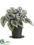 Silk Plants Direct Coleus Bush - Green Purple - Pack of 6