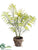 Areca Palm Bush - Green Two Tone - Pack of 6