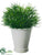 Silk Plants Direct Podocarpus Bush - Green Dark - Pack of 6