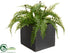 Silk Plants Direct Fern - Green - Pack of 12