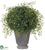 Angel Vine Ball - Green - Pack of 4