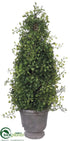 Silk Plants Direct Angel Vine Topiary Cone - Green - Pack of 4