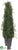 Angel Vine Topiary Cone - Green - Pack of 2